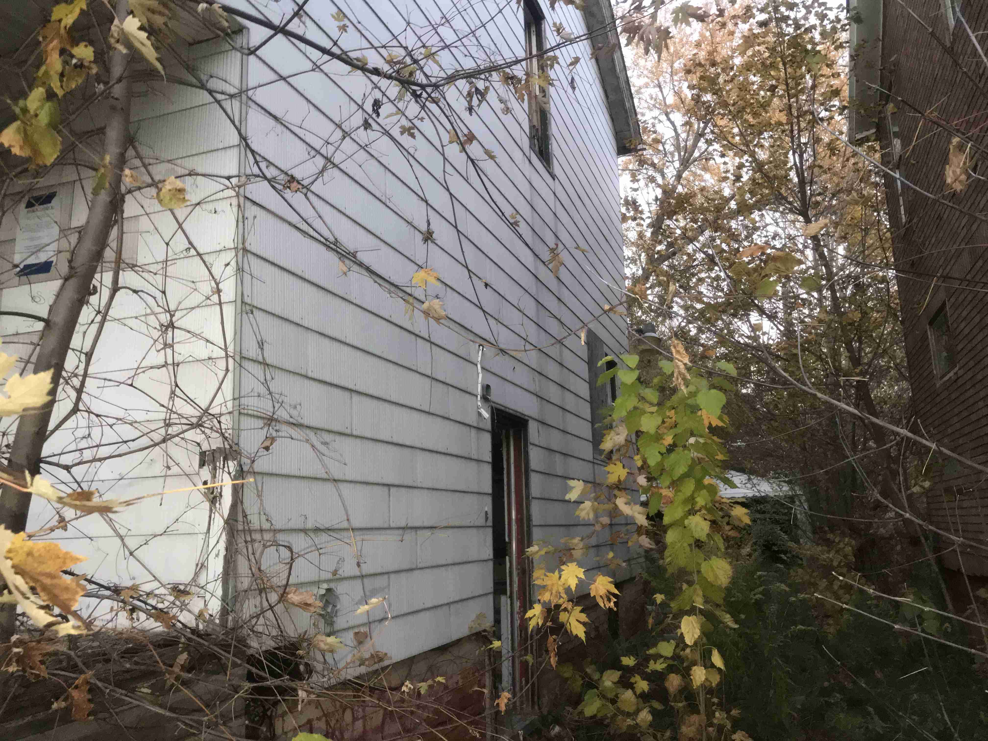 Photo Nov 04, 5 29 27 PM.jpg